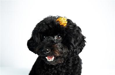 《上行战场》最新更新添幻化功能 同步发布新DLC